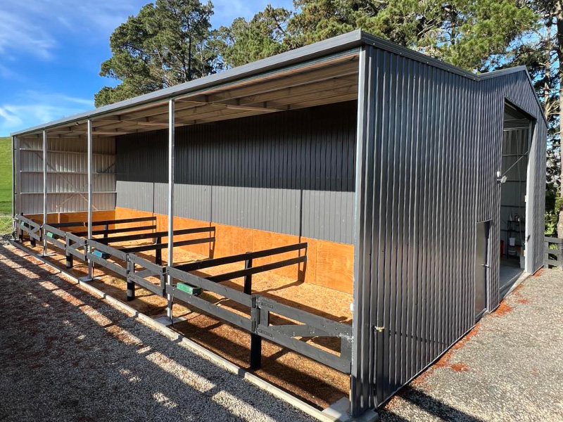 Animal Shelter shed 800 x 600