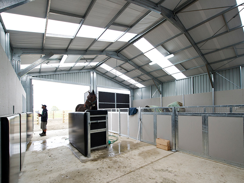 Chittick 06 800 X 600